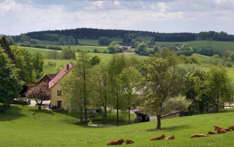 Piraten enttäuscht: Was die Ampel sagt und wirklich tut für gleichwertige Lebensverhältnisse