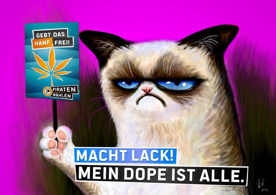 Cannabisgesetz: Ablehnung des Vermittlungsausschusses durch die Landesregierung Mecklenburg-Vorpommern. Textvorlage und E-Mail Adressen.